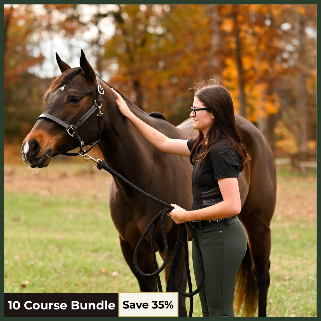 Equine Vet Technician Fundamentals Bundle Pt. 1