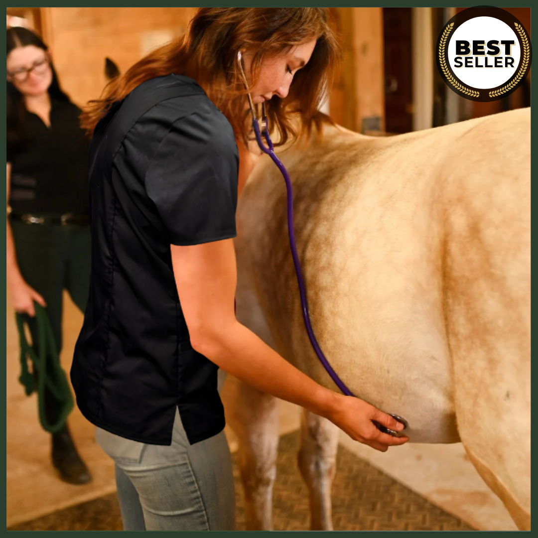 Equine First Aid Essentials: Emergency Care for Horse Owners