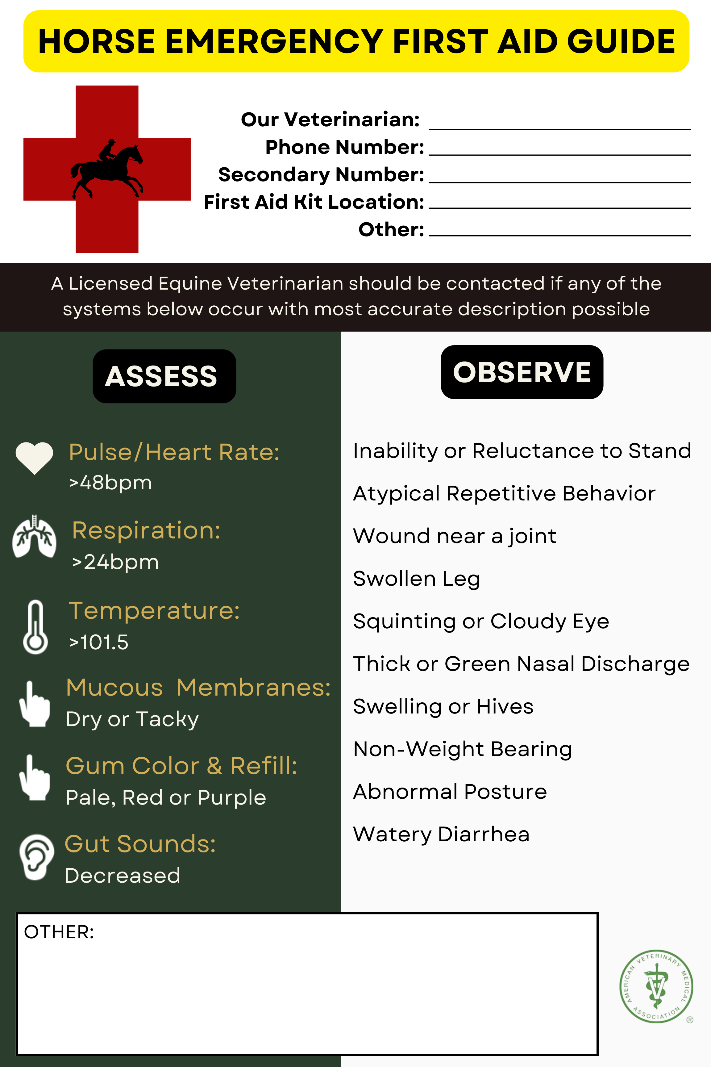 Customizable Horse First Aid Poster: Your Essential Equine Emergency Guide