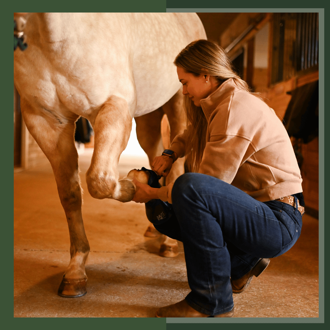 Bundle: Happy Hoof - Comprehensive Equine Hoof Care and Nutrition