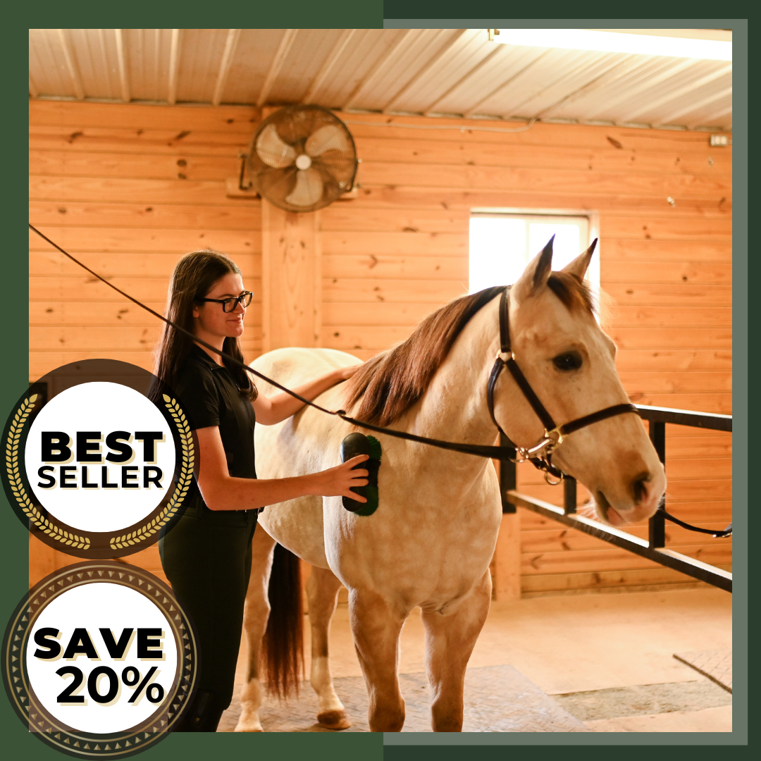 How to Become an Equine Vet Tech: Essential Steps for Success 2 How to Become an Equine Vet Tech: Essential Steps for Success