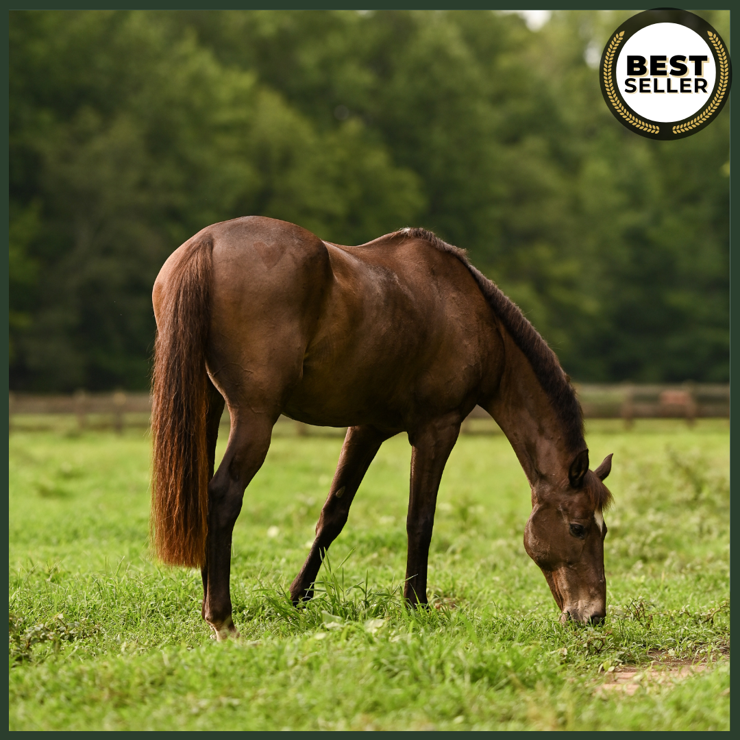 Advanced Equine Nutrition, Gastrointestinal and Digestive Health