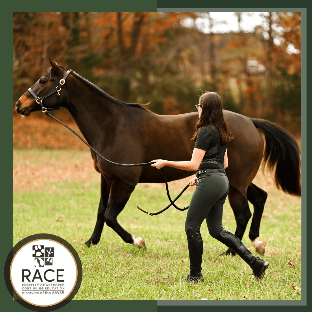 RACE II: Equine Musculoskeletal Anatomy, Physiology and Lameness Diagnosis – Continuing Education for Equine Veterinary Technicians