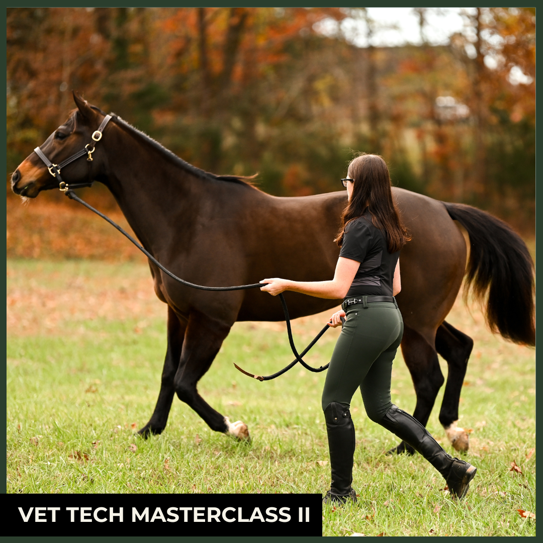 RACE II: Equine Musculoskeletal Anatomy, Physiology and Lameness Diagnosis – Continuing Education for Equine Veterinary Technicians
