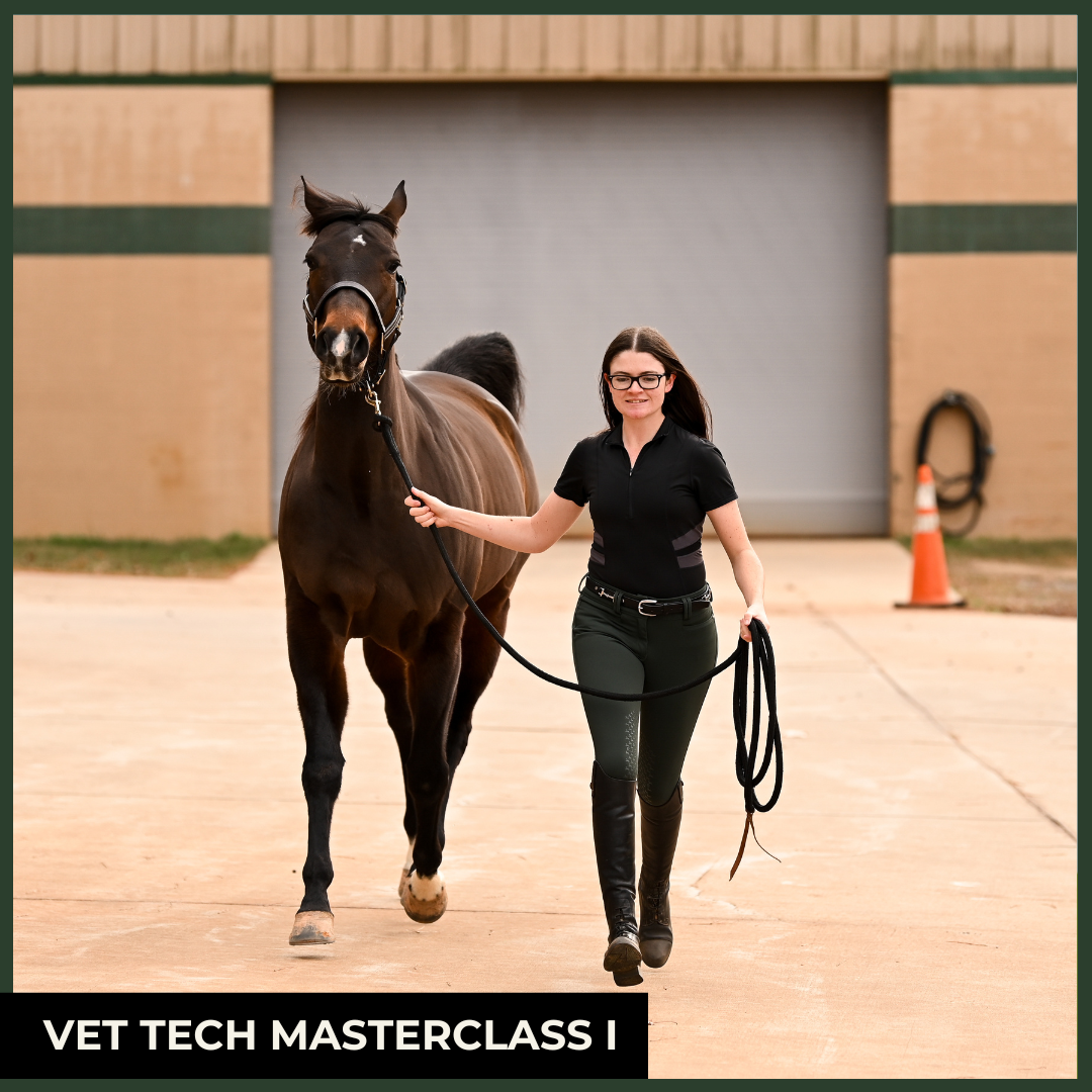 RACE I: Equine Sociology, Physiology, and Gastrointestinal Health - Comprehensive CE Course for Equine Veterinary Technicians