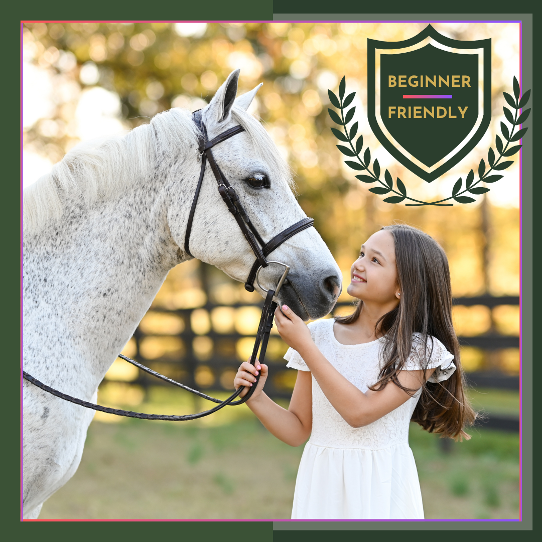 Home School Equine Science Course Horse learning for children